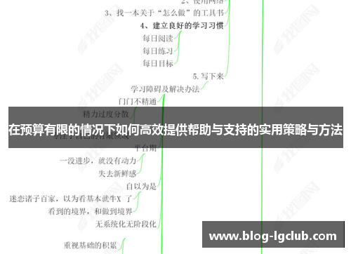 在预算有限的情况下如何高效提供帮助与支持的实用策略与方法 在预算有限的情况下如何高效提供帮助与支持的实用策略与方法