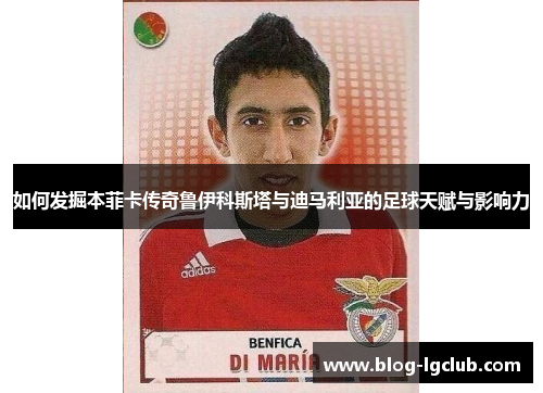 如何发掘本菲卡传奇鲁伊科斯塔与迪马利亚的足球天赋与影响力