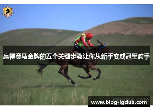 赢得赛马金牌的五个关键步骤让你从新手变成冠军骑手